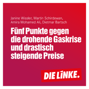 5 Punkte gegen die Gaskrise