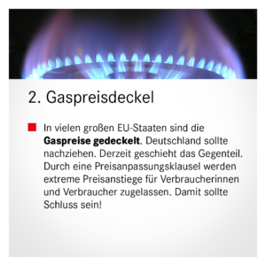 Gaspreisdeckel