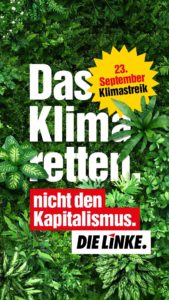 Das Klima retten, nicht den Kapitalismus.