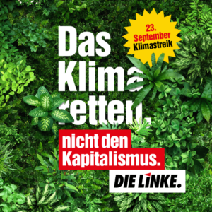 Das Klima retten, nicht den Kapitalismus.