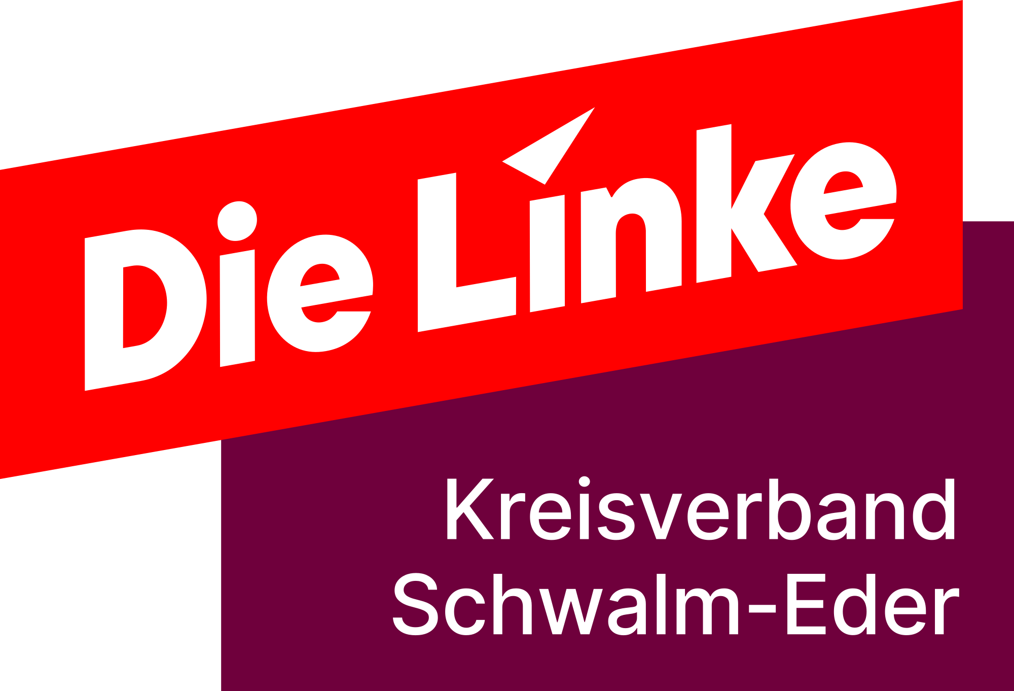 DIE LINKE. Schwalm-Eder