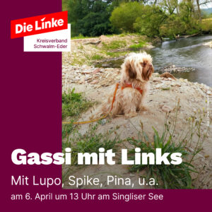 Gassi mit Links 6.4. 13 Uhr Singliser See