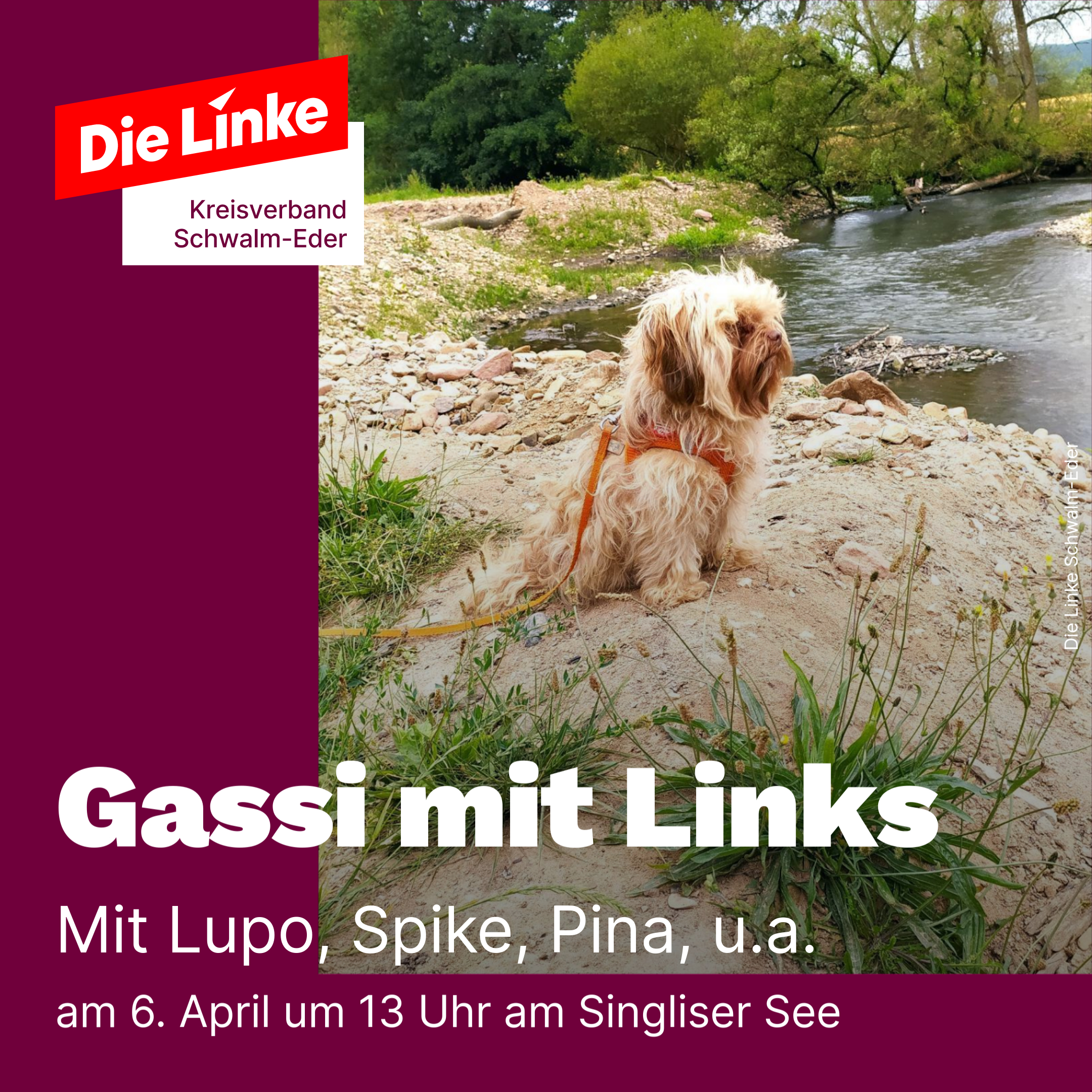 Gassi mit Links 6.4. 13 Uhr Singliser See