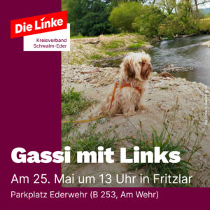 Gassi mit Links @ Ederwehr Fritzlar